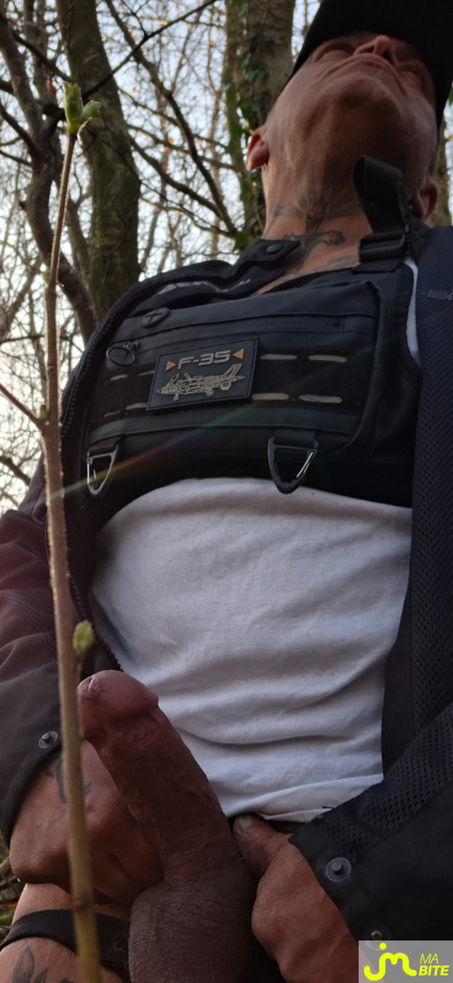 bites de mehdi010971