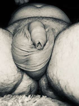 Photos de bites : Pour le d&eacute;fi 