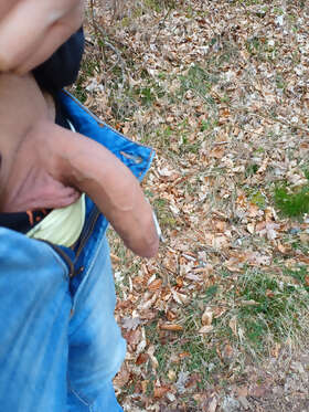 Photos de bites : Balade en for&ecirc;t 