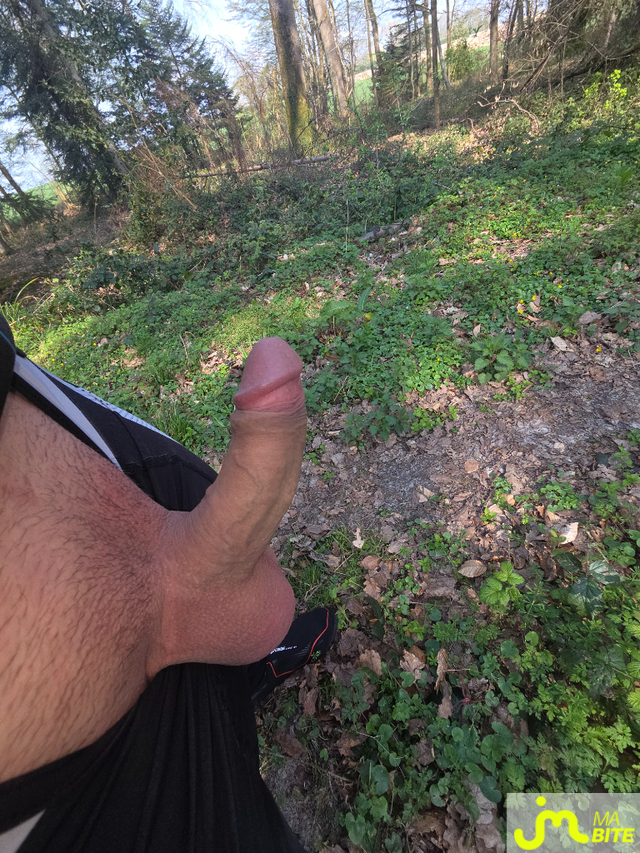 bites de Incognito14