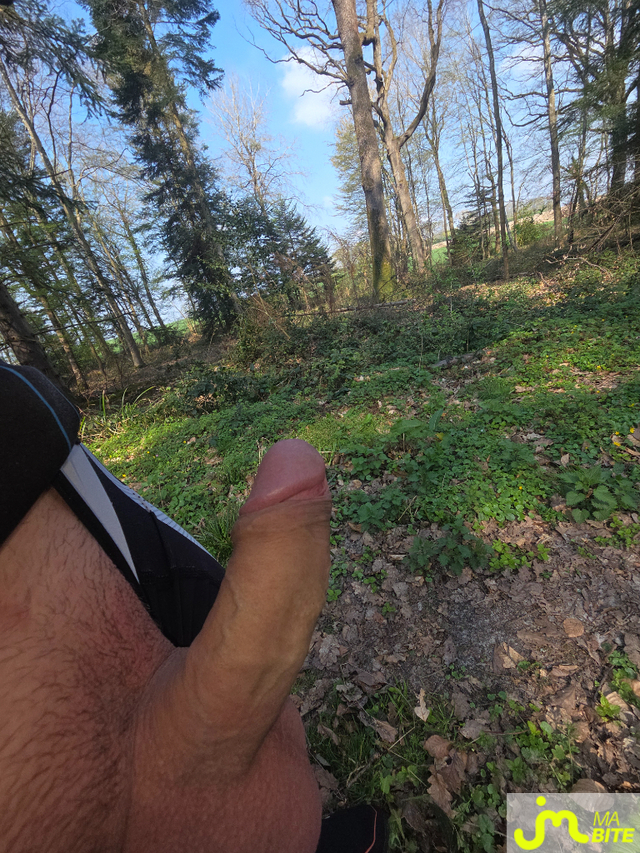 bites de Incognito14