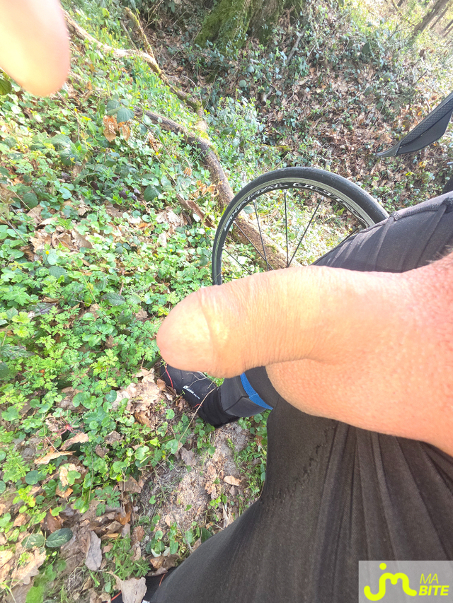 bites de Incognito14