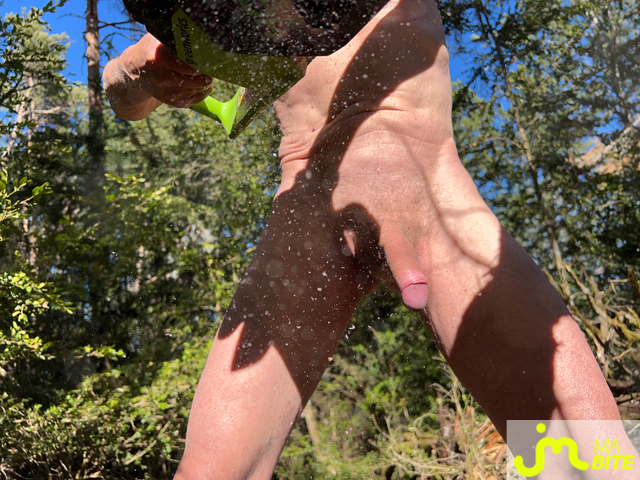 Photos de bites : Coupe de bois