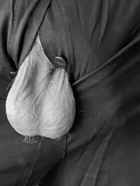 Photos de bites : En noir et blanc