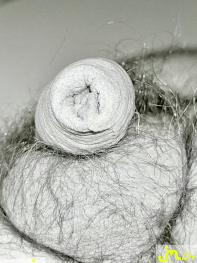 bites de Couplepoilu