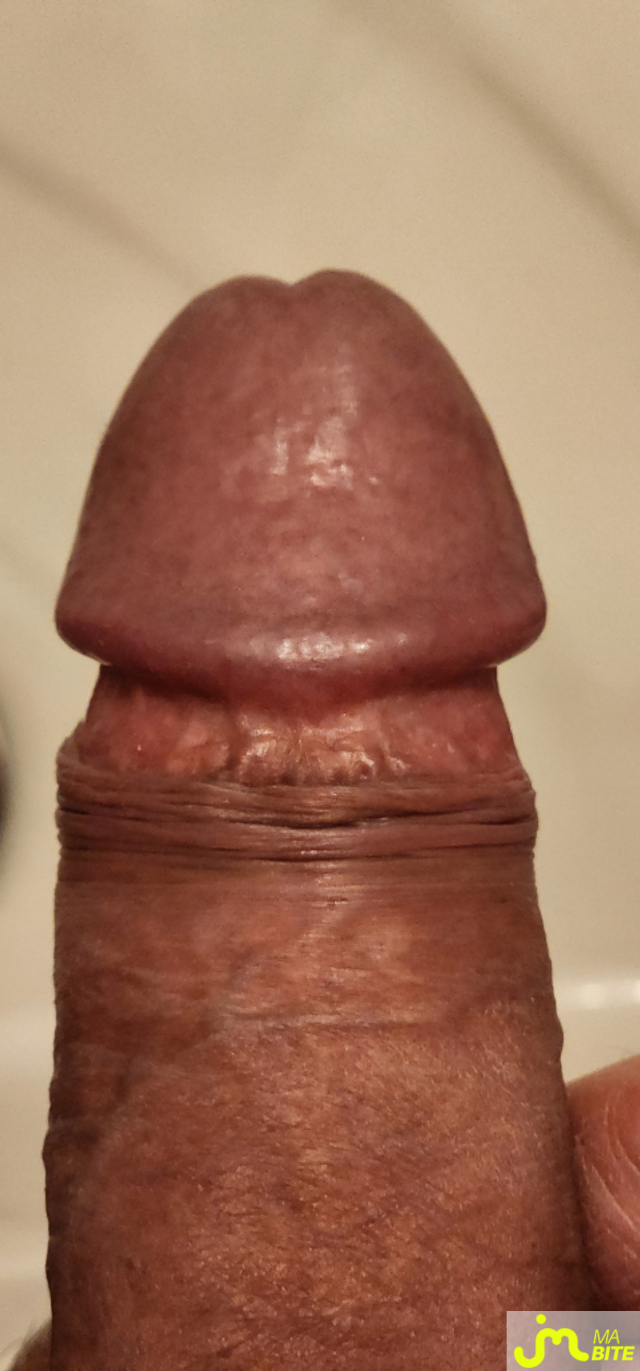 bites de Orangevel13