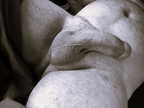 Photos de bites : En noir et blanc...