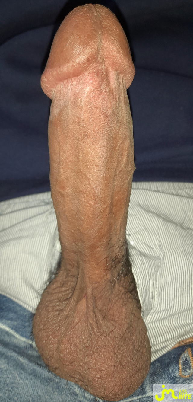 bites de Ericoup&eacute; 