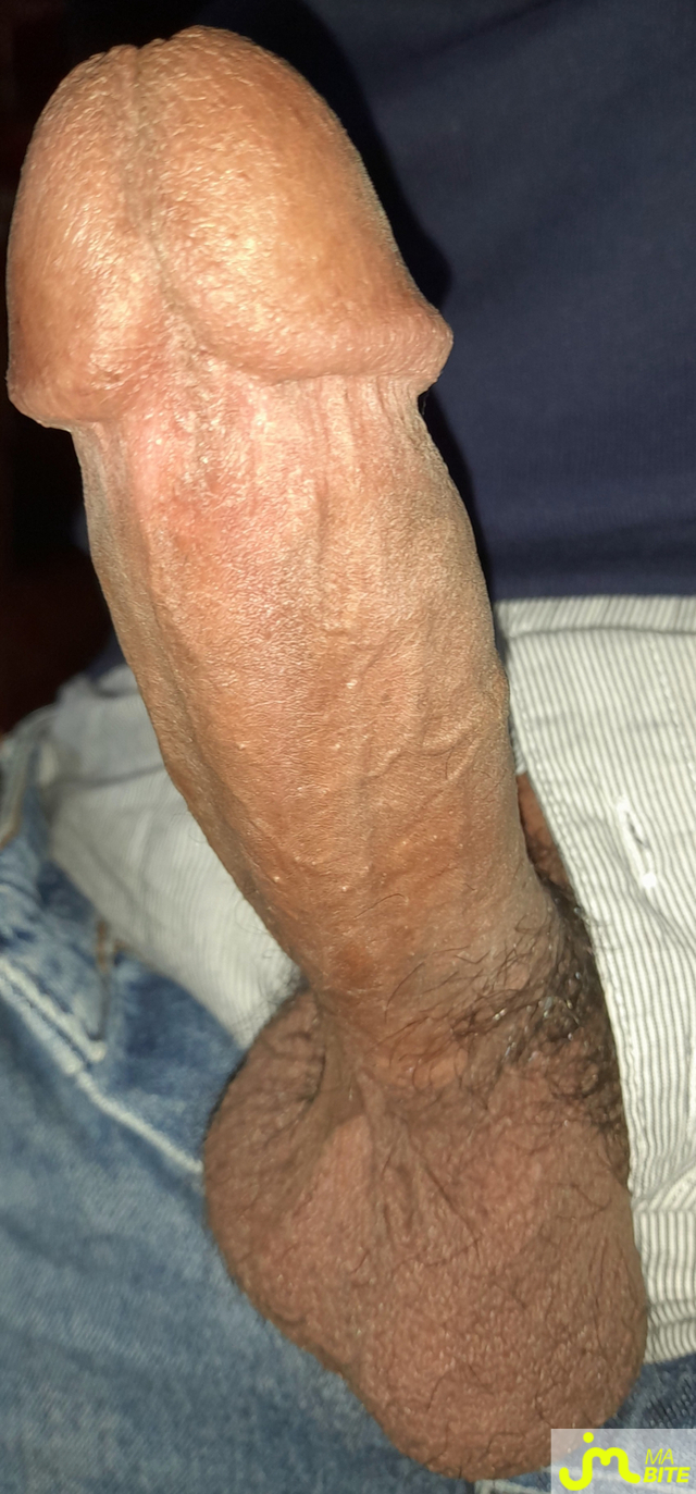 bites de Ericoup&eacute; 