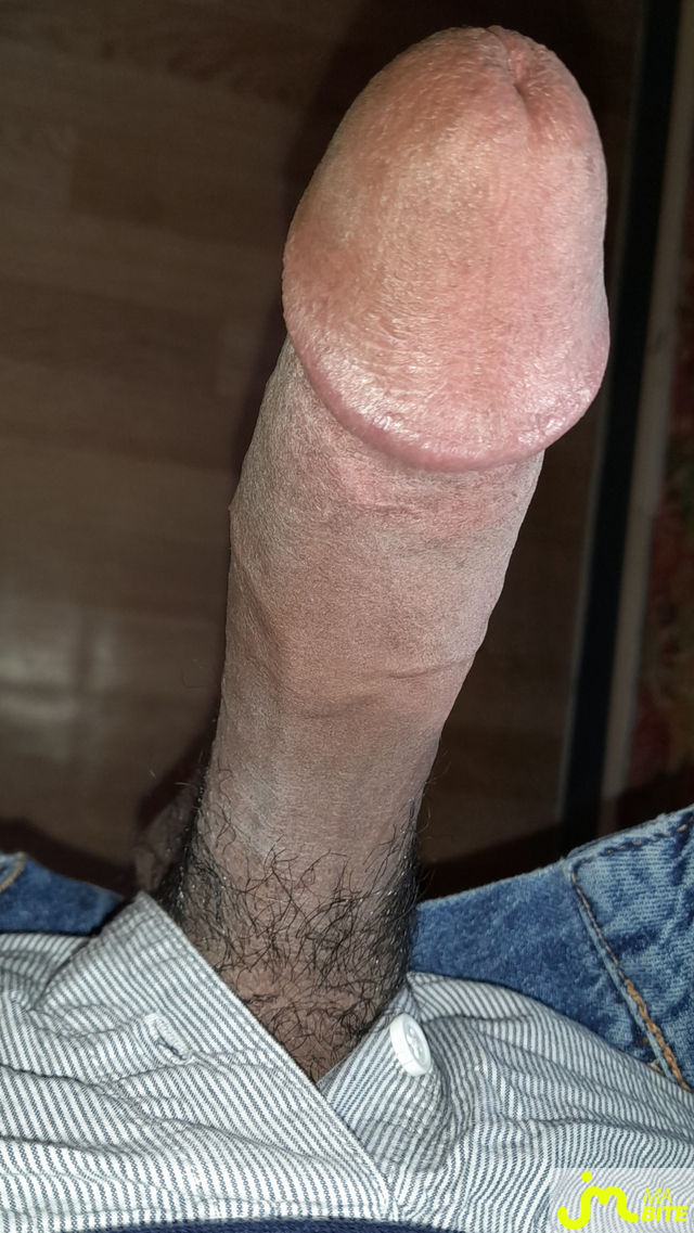 bites de Ericoup&eacute; 