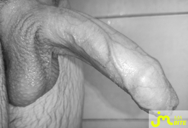 bites de Coucou_Ouep