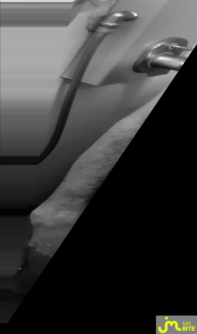 Photos de bites : Mes premieres photos 