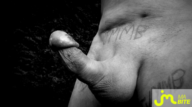 Photos de bites : Noir et blanc 1er album !