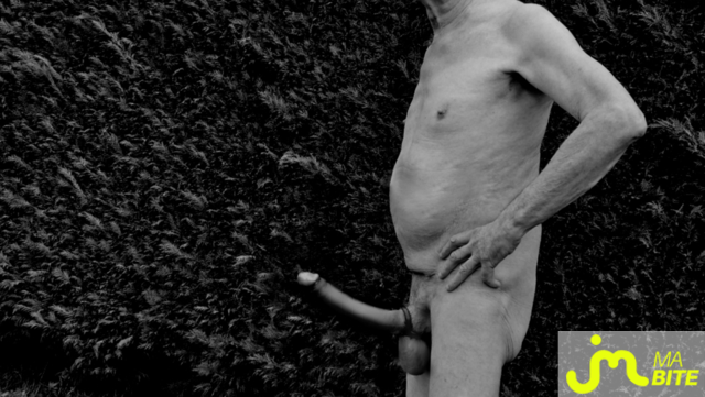 bites de Vxm&acirc;lebi46