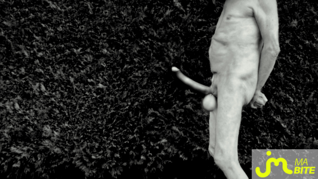 bites de Vxm&acirc;lebi46