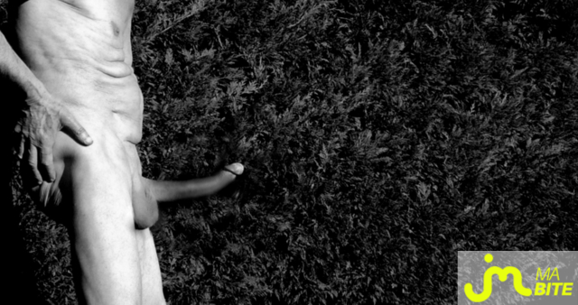 bites de Vxm&acirc;lebi46