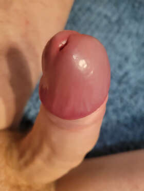 Photos de bites : SDB