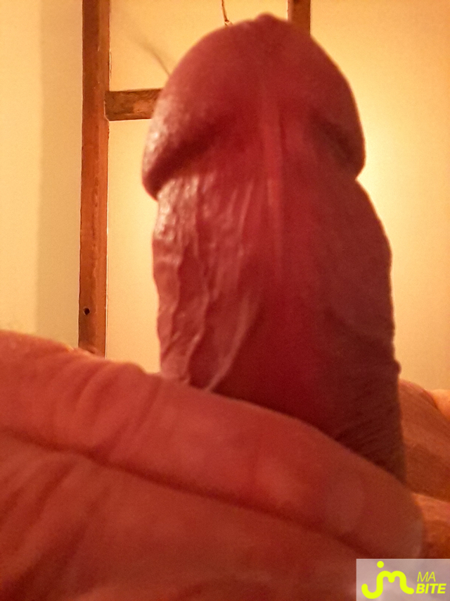 bites de BiteduVaucluse 