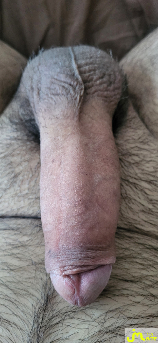 bites de Dede09100