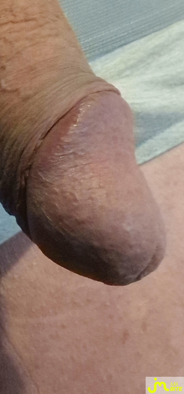 bites de Pierrot-1962