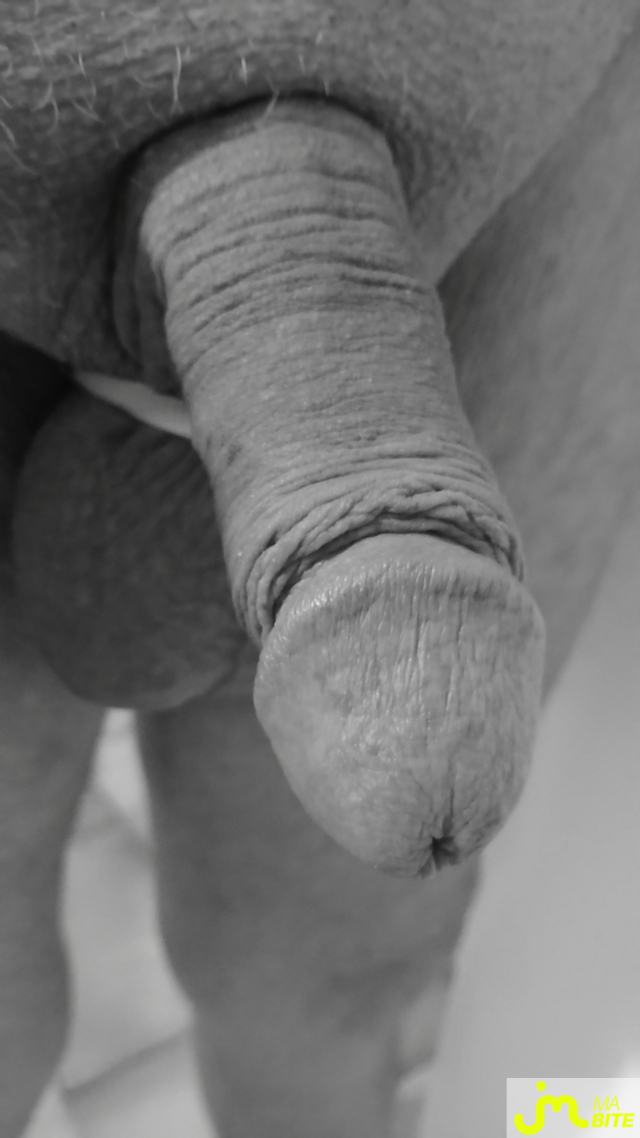 Photos de bites : N & B