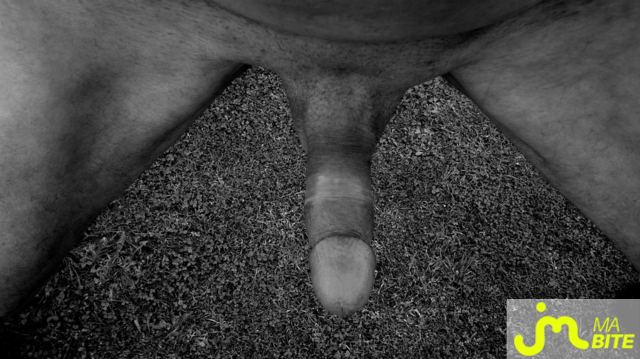 bites de Vxm&acirc;lebi46