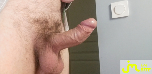 bites de Grosse queue courb&eacute;e