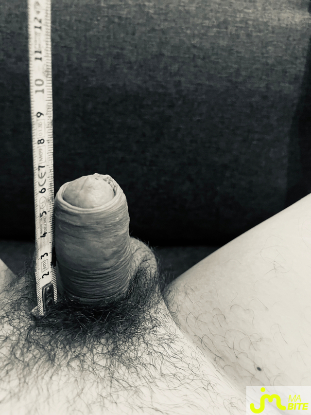 bites de Lookfordream