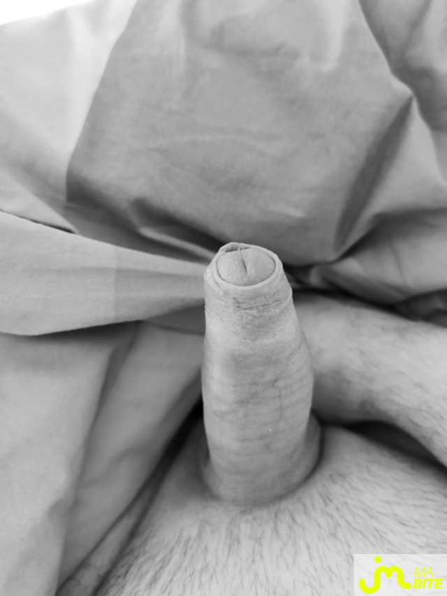 Photos de bites : Num&eacute;ro 3