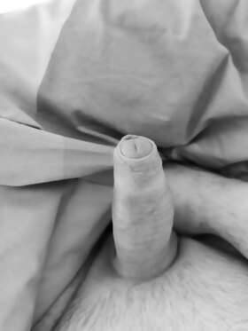 Photos de bites : Num&eacute;ro 3