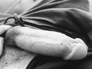 Photos de bites : 2026