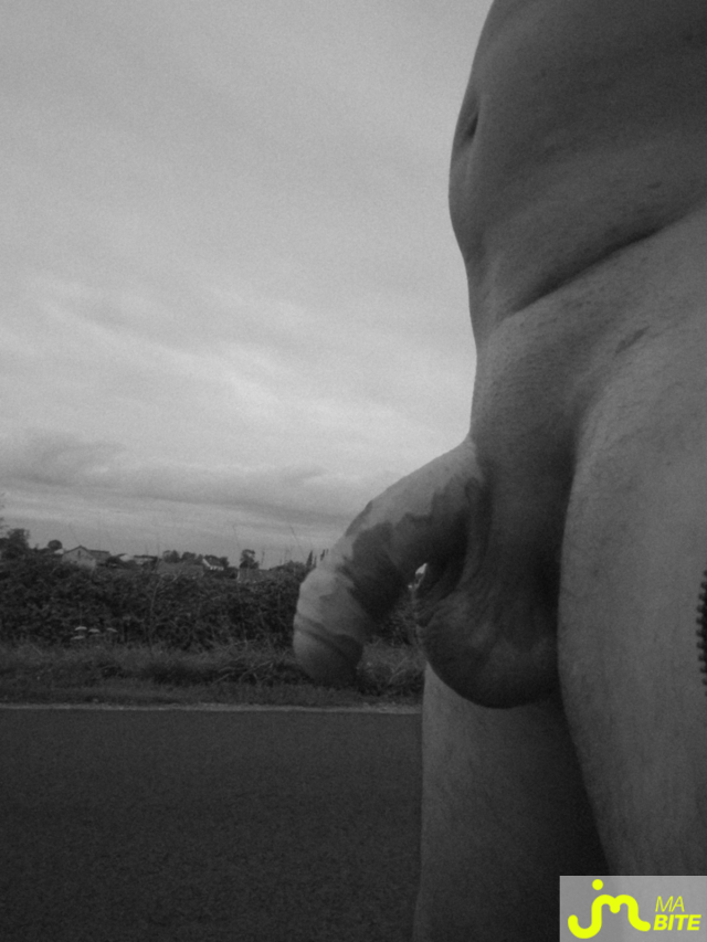 bites de fandebranlebi