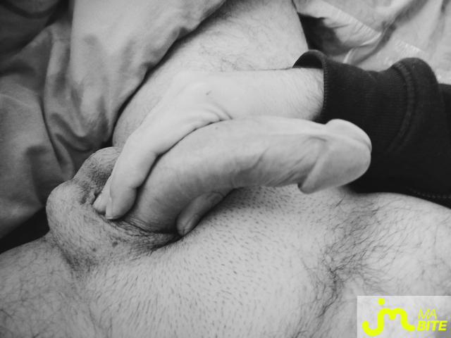 Photos de bites : Black and white