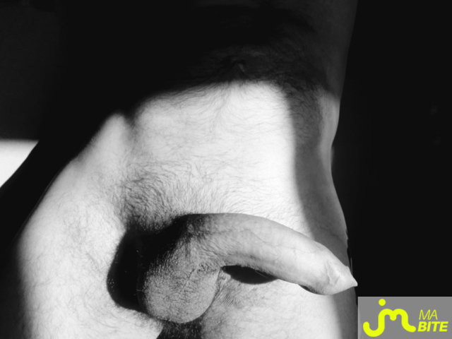 Photos de bites : :8====3