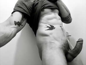 Photos de bites : Black and white