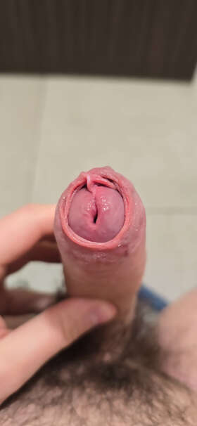 Photos de bites : Petite pause