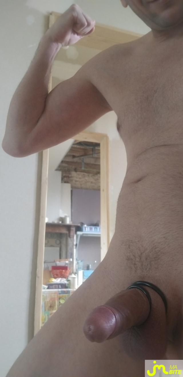 bites de Grosse queue courb&eacute;e