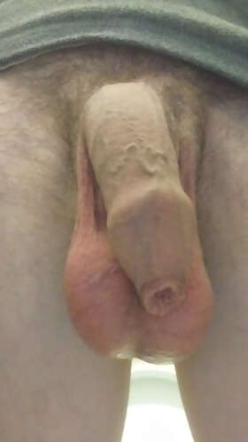 Photos de bites : Premi&egrave;re 