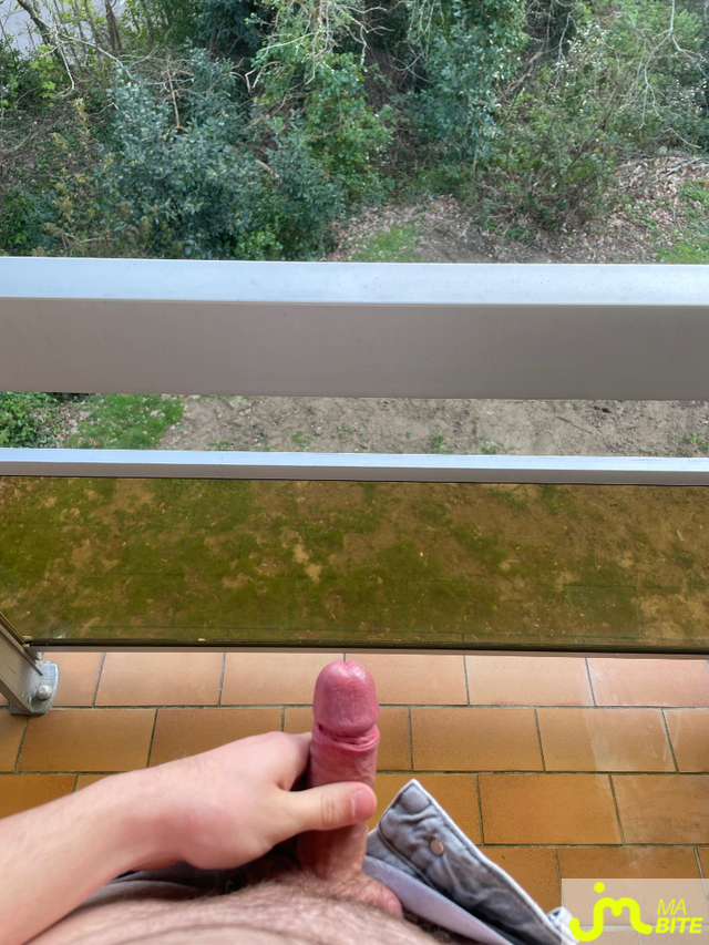 bites de mirox