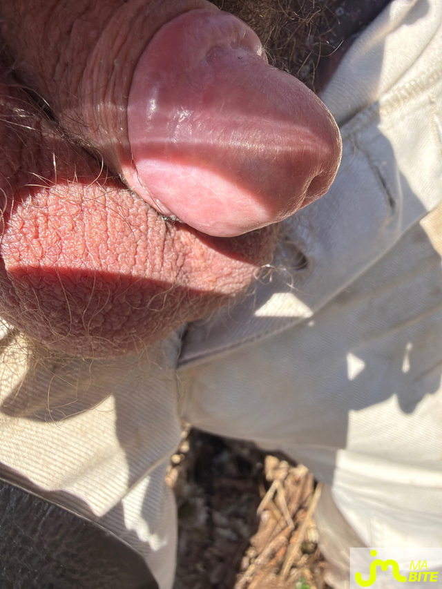 bites de Beaugosse 88