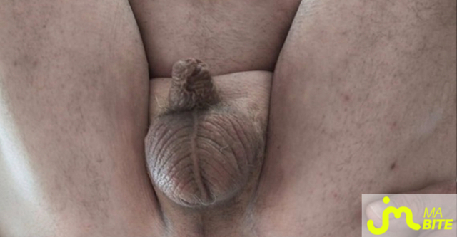 bites de Vanessa disciplin&eacute;e 