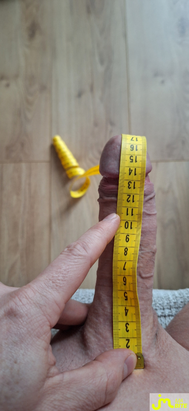 Photos de bites : Tout est dans la mesure