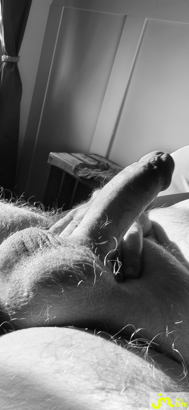 bites de Seblamant59