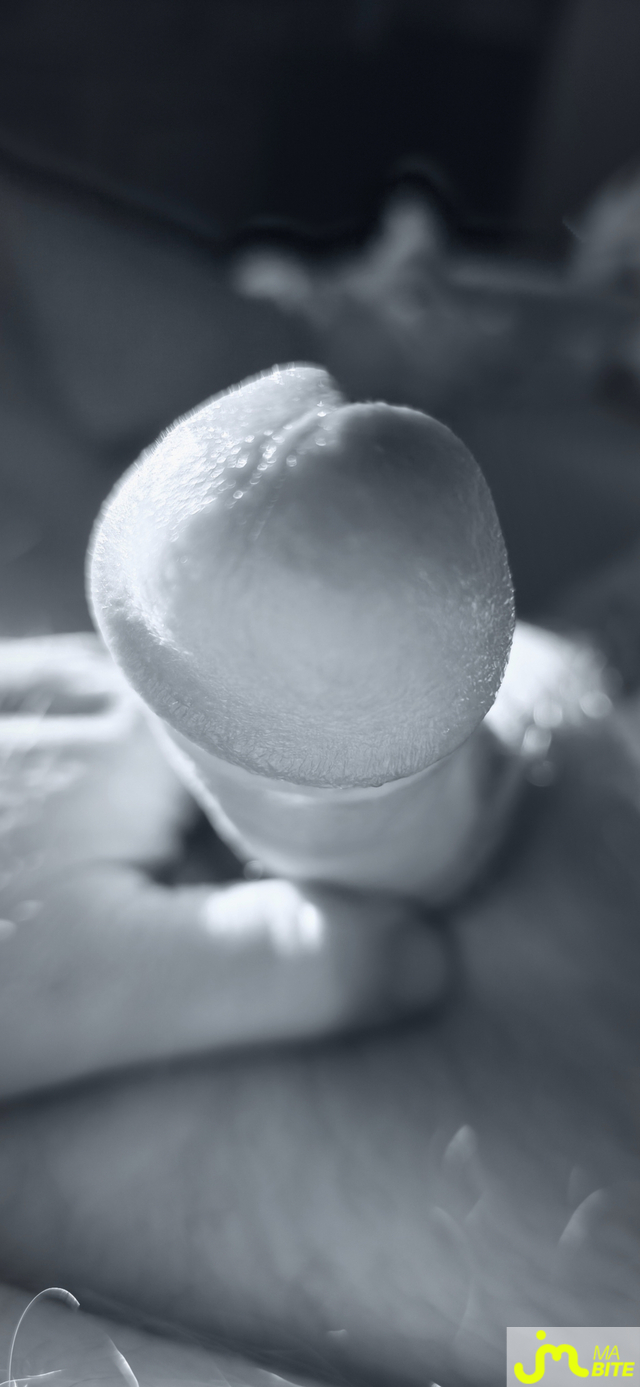 bites de Seblamant59