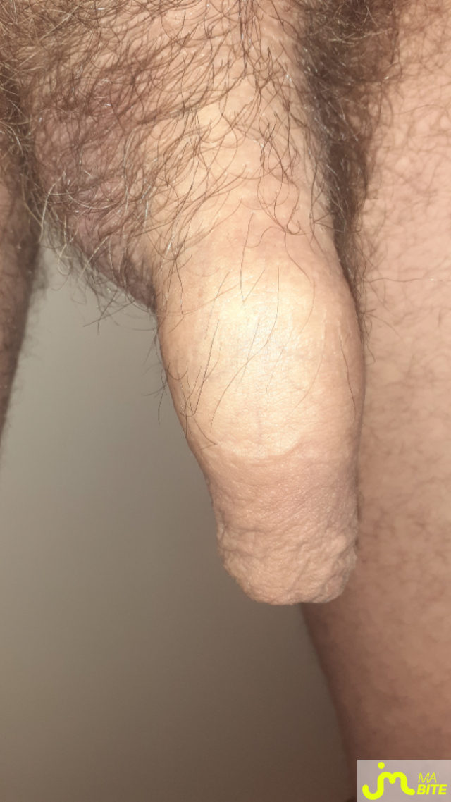 Photos de bites : Au naturel  se matin