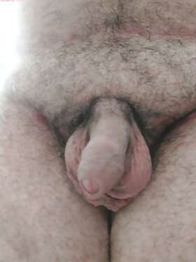 Photos de bites : petite contribution