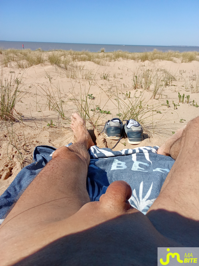 bites de A. Laize
