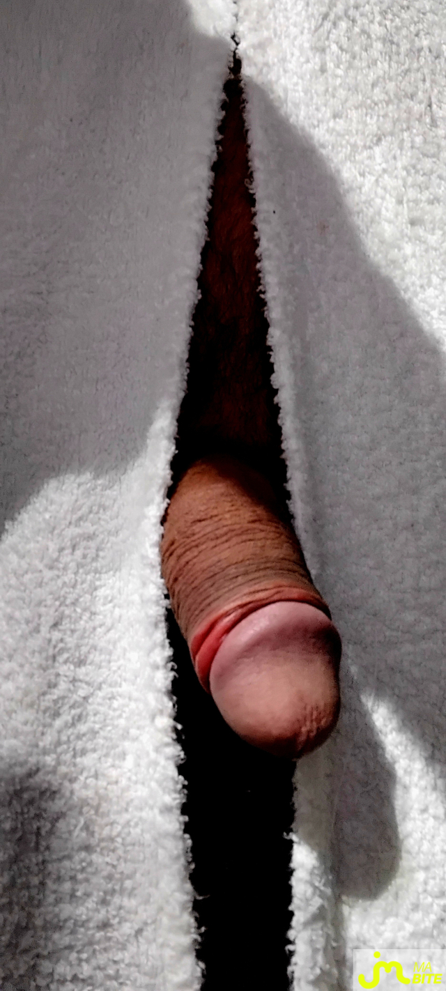 Photos de bites : Gironde 