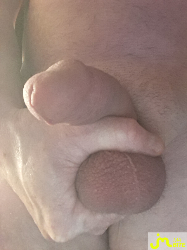 bites de BiteduVaucluse 