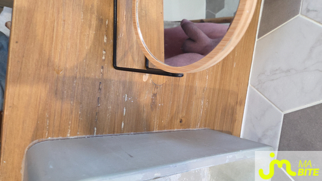 bites de Incognito14